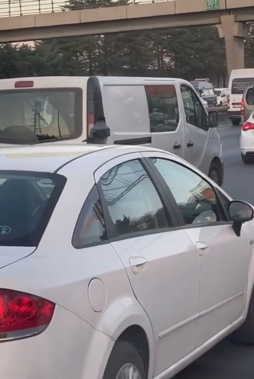 Sancaktepe’de araç üzerinde karganın yolculuğu görenleri şaşkına çevirdi