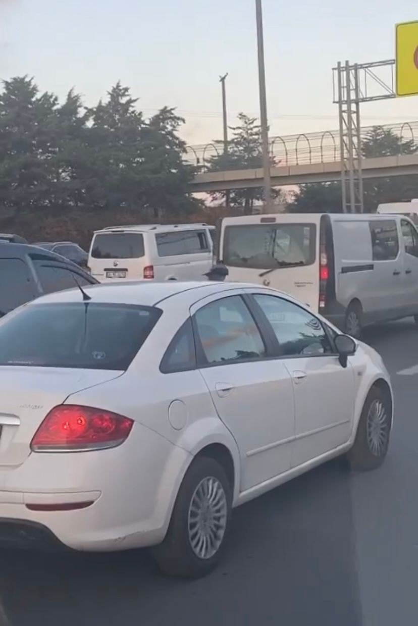 Sancaktepe’de araç üzerinde karganın yolculuğu görenleri şaşkına çevirdi