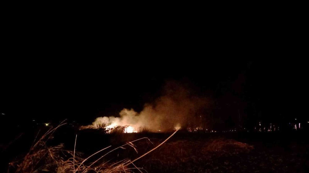 Hatay’da 3 ayrı noktada sazlık yangını! Müdahale sürüyor