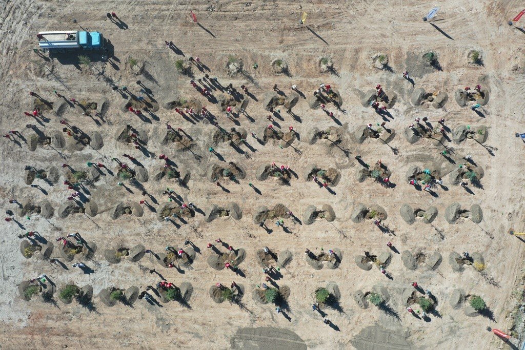 Kocasinan Belediyesi, Kızılay Haftası’nı ağaçlarla taçlandırdı