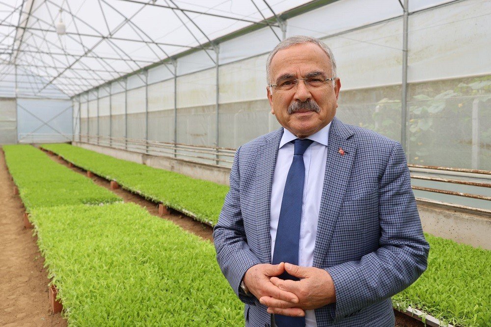 Ordu’nun fide üretim merkezi