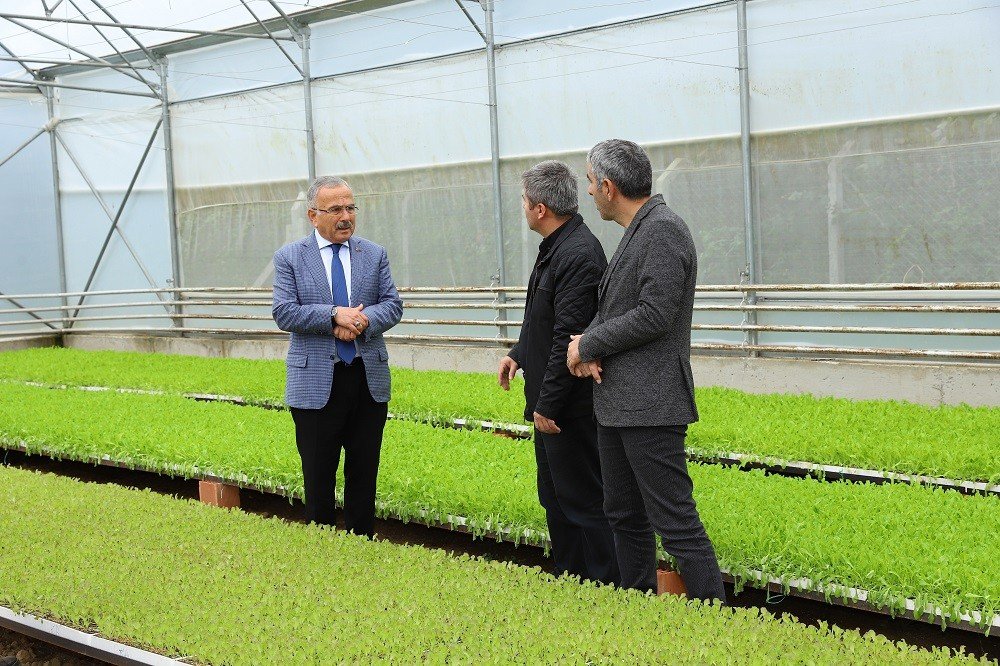 Ordu’nun fide üretim merkezi