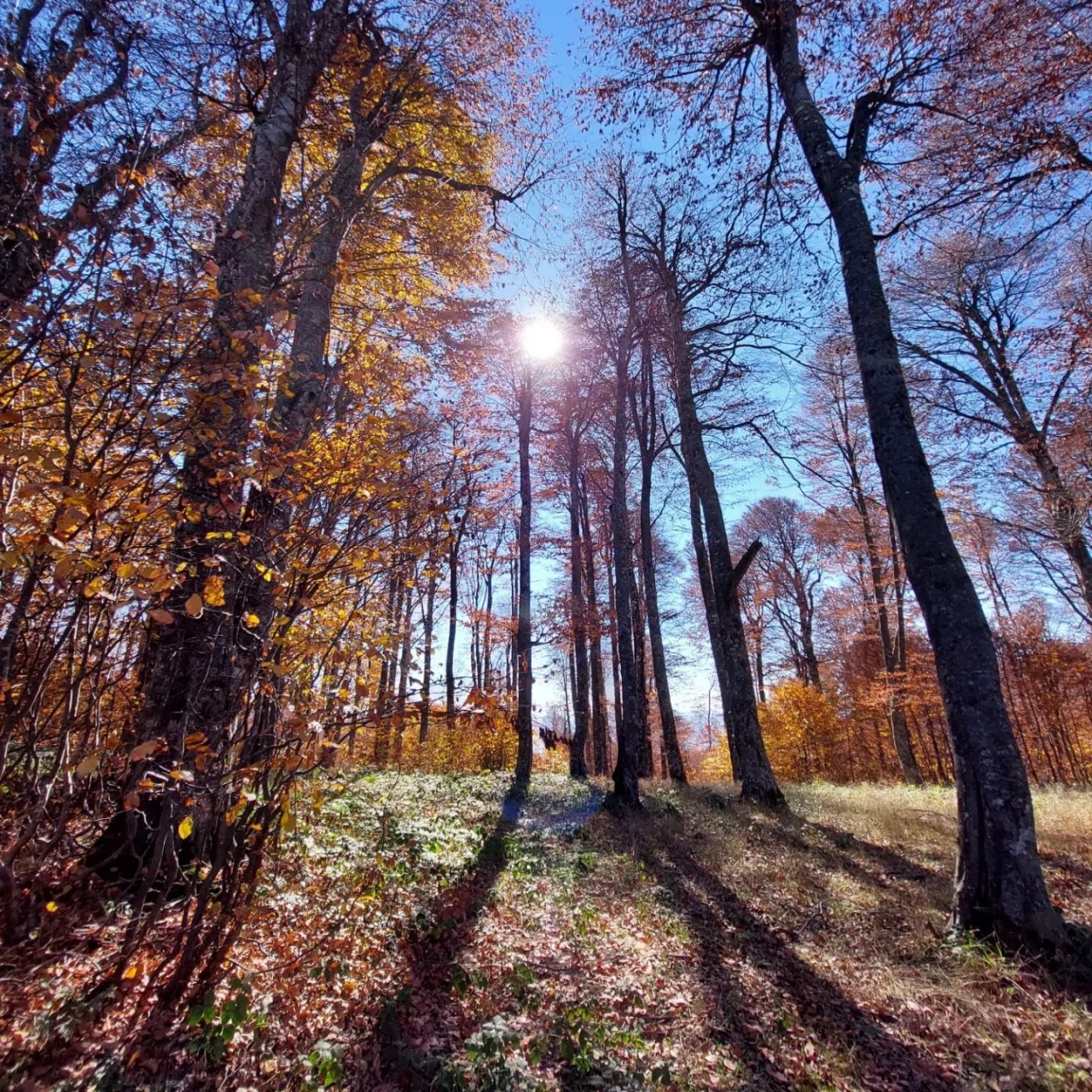 Muhteşem sonbahar fotoğrafları