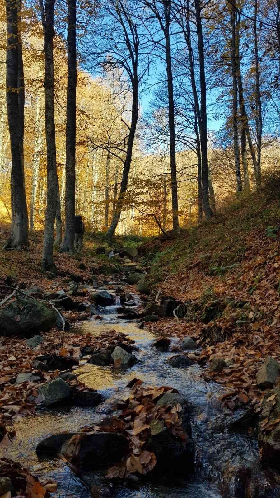 Muhteşem sonbahar fotoğrafları