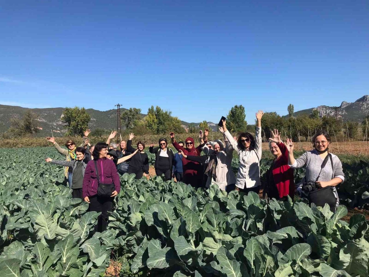 Bilecik’te bu yıl ayva hasadının 7 bin ton olması bekleniyor