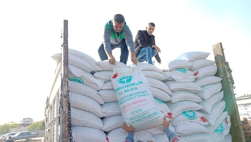 Üretime katkı için üreticilere buğday tohumu