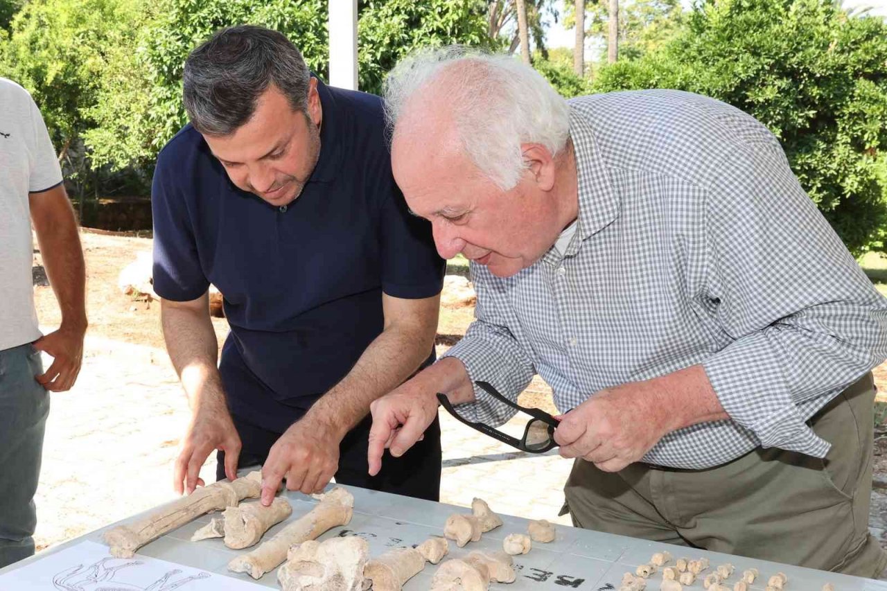 Misis’te güz dönemi antik höyük kazıları başladı