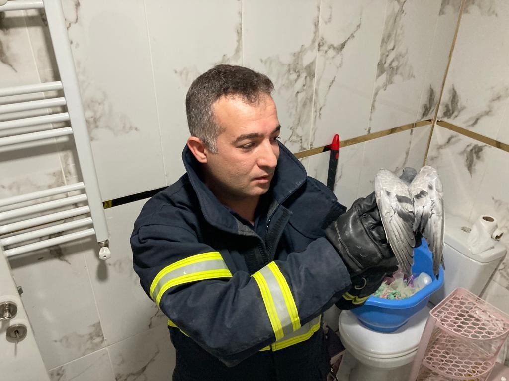 Havalandırma boşluğuna düşen güvercin kurtarıldı