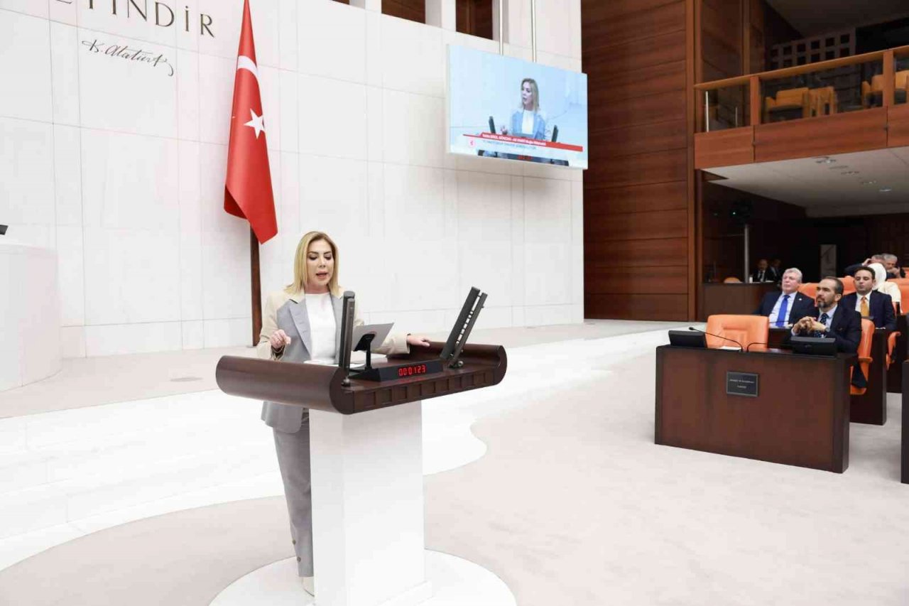 AK Partili Gökcan: "Türk basınının özgürlükçü bir yapıya kavuşmasını sağladık"
