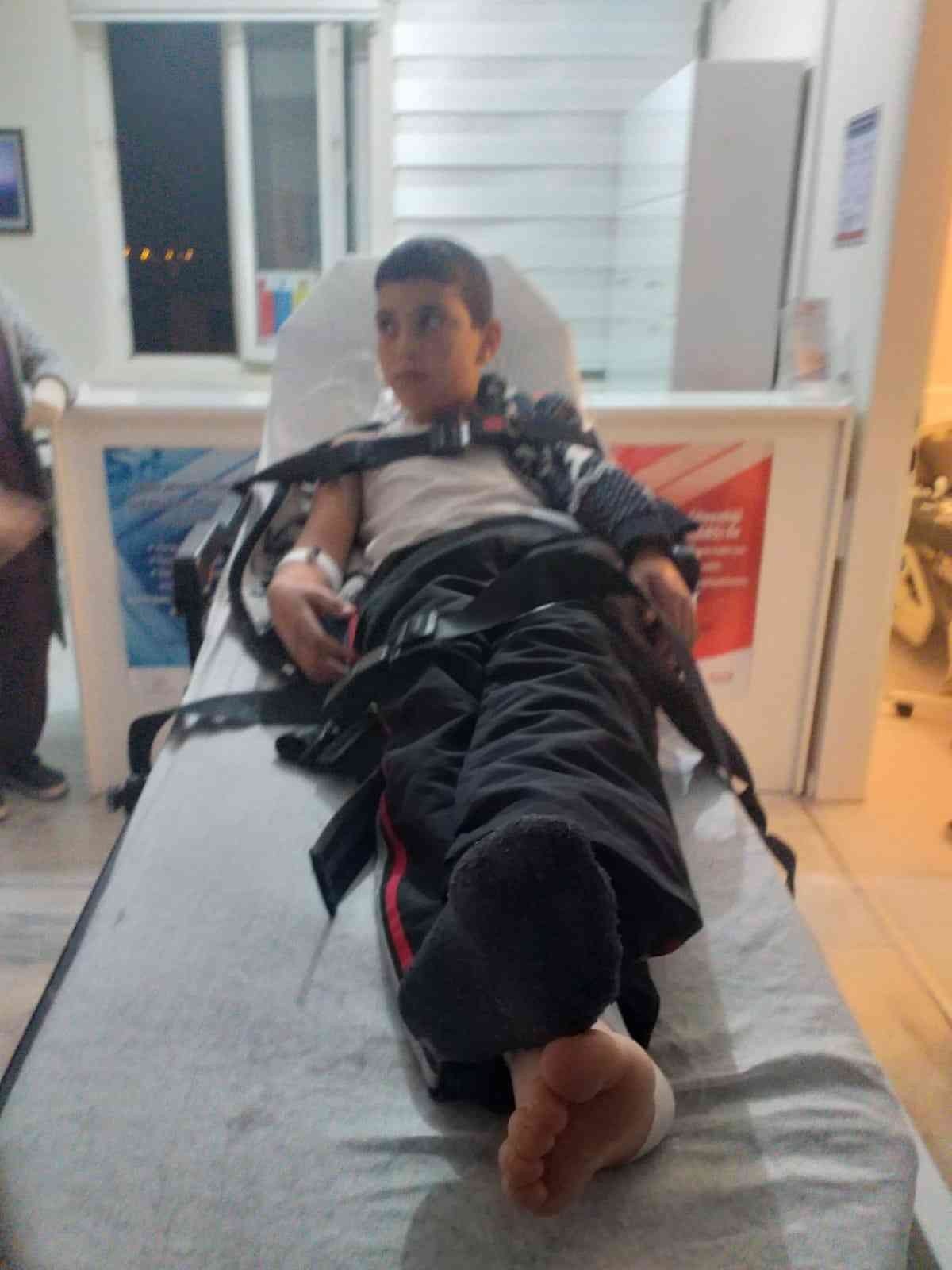 Başıboş köpeklerin ısırdığı çocuklar kuduz oldu