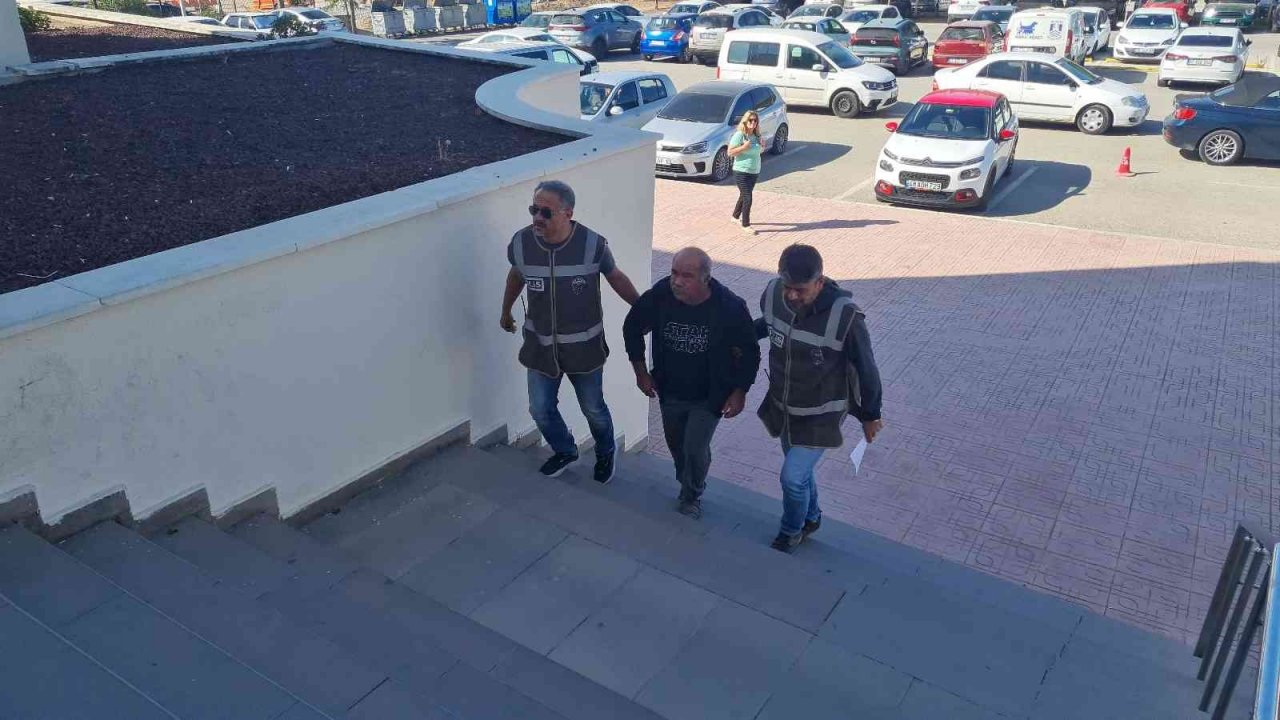 Köpek zehirlenmesiyle ilgili 1 gözaltı