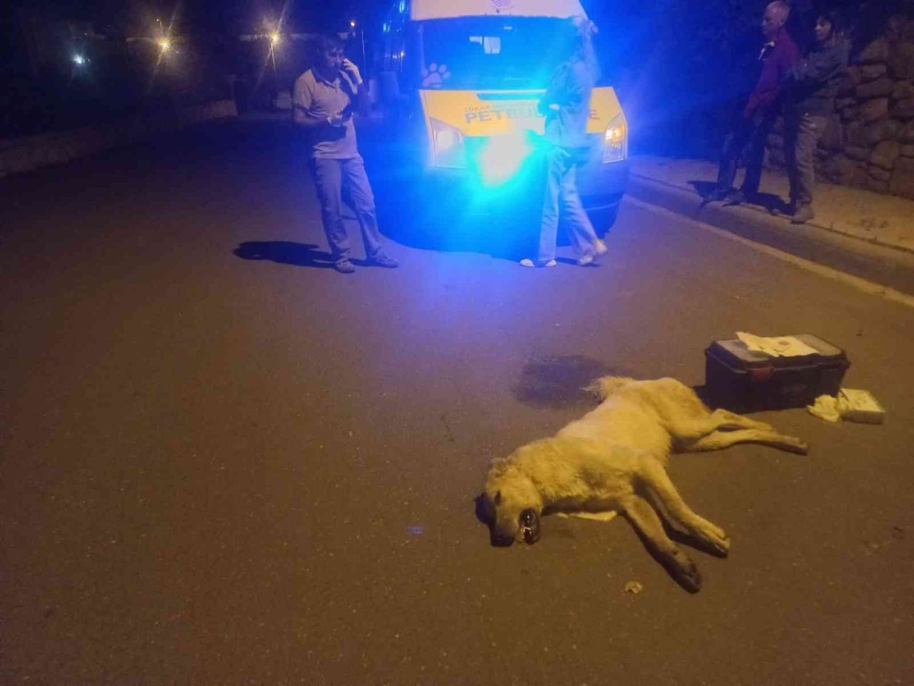 Köpek zehirlenmesiyle ilgili 1 gözaltı