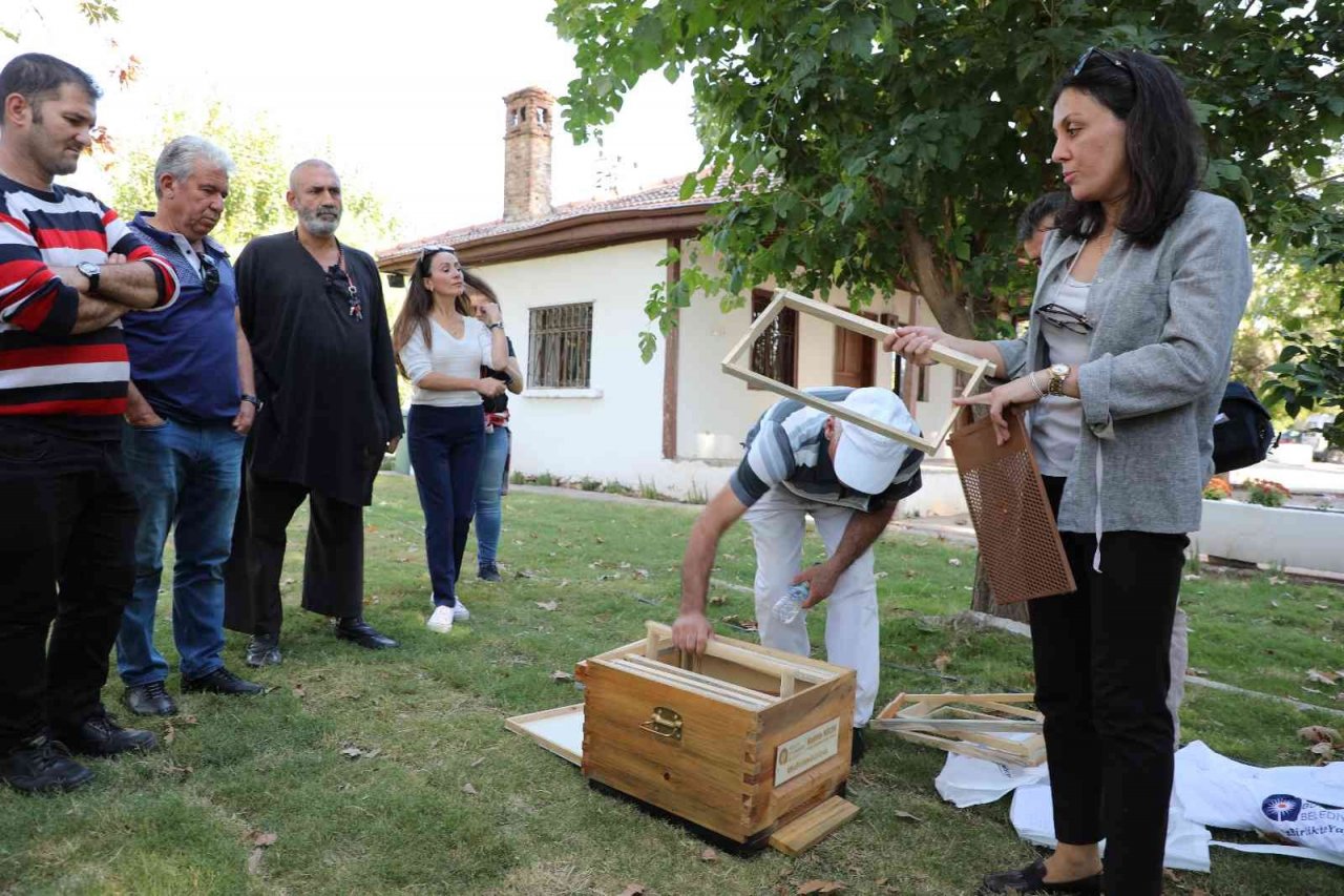 Büyükşehirden arıcılık eğitimi