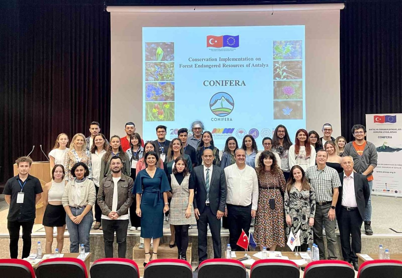 Dünyada sadece Antalya’da bulunan Olimpos safranı tehlike altında