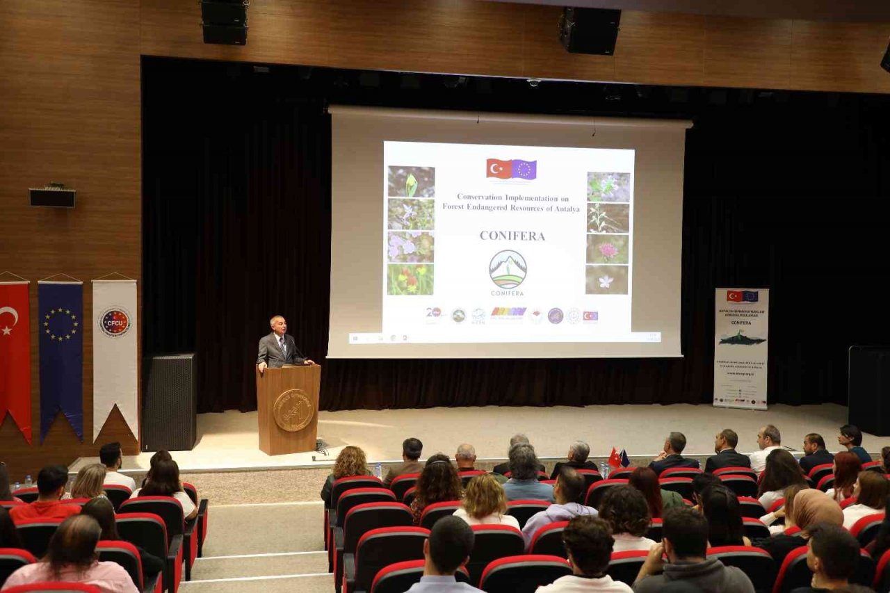 Dünyada sadece Antalya’da bulunan Olimpos safranı tehlike altında