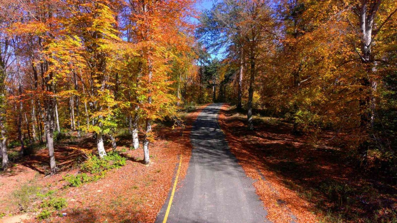 Hazan renklerinin hakim olduğu Yenice ormanları görüntüsüyle mest ediyor