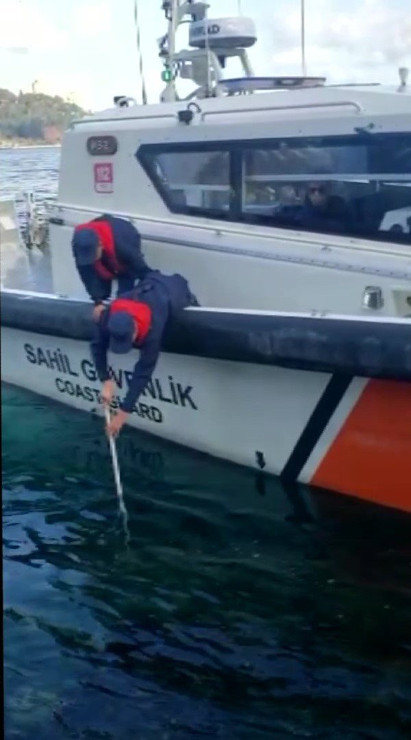 Beykoz’da kaçak avladıkları 1 ton midyeyi denizin 7 metre derinliğine sakladılar