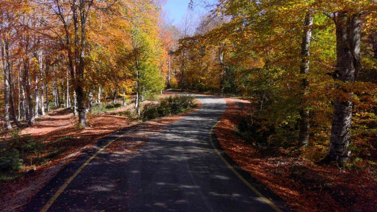 Hazan renklerinin hakim olduğu Yenice ormanları görüntüsüyle mest ediyor