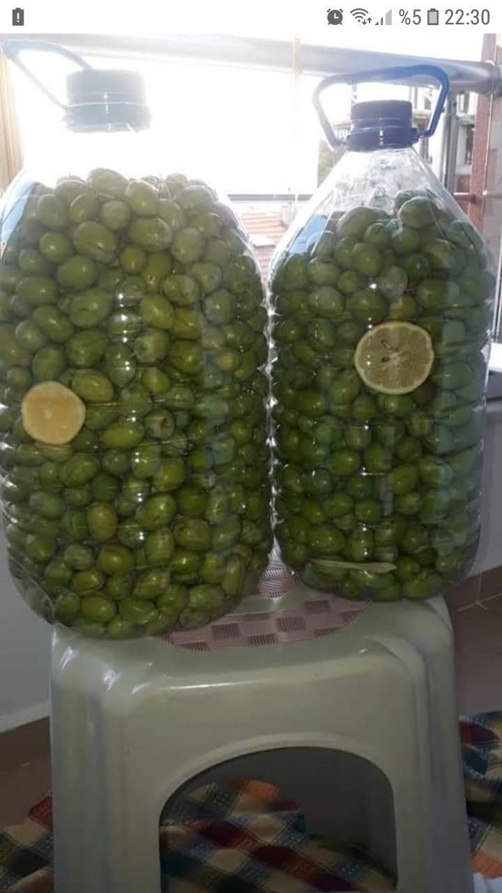 Laçin’de salamura işlemi başladı