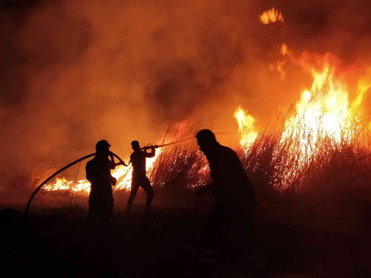 Milleyha sulak alanında çıkan yangın kontrol altında