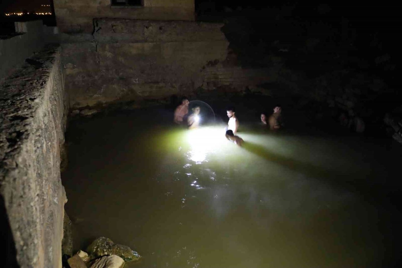 Kaplıca keyfine kurt sürüsü molası