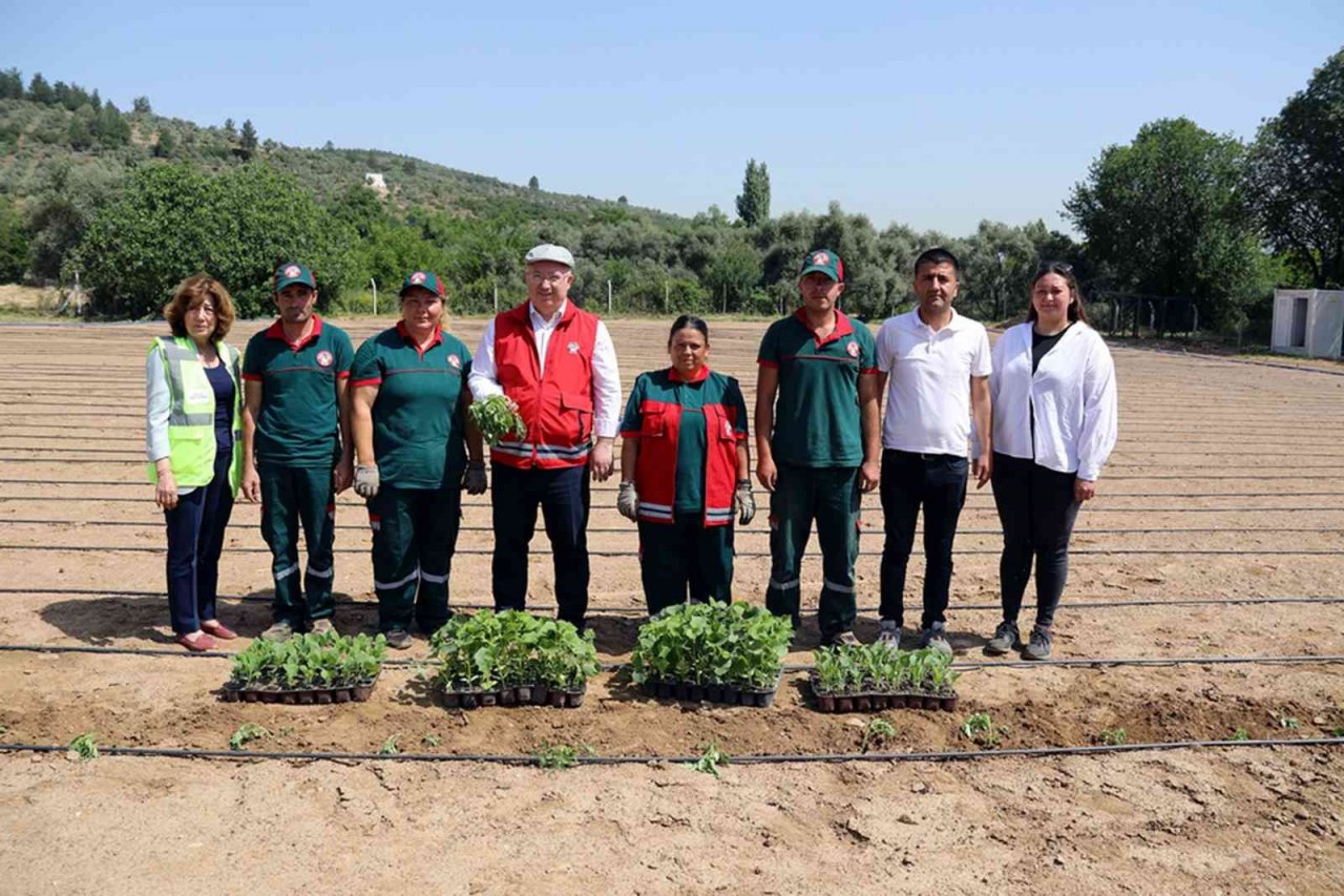 Menteşe Belediyesinden tarım ve hayvancılığa destek