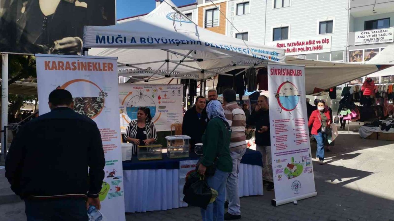 Vatandaşlara vektörle mücadele bilgilendirmesi