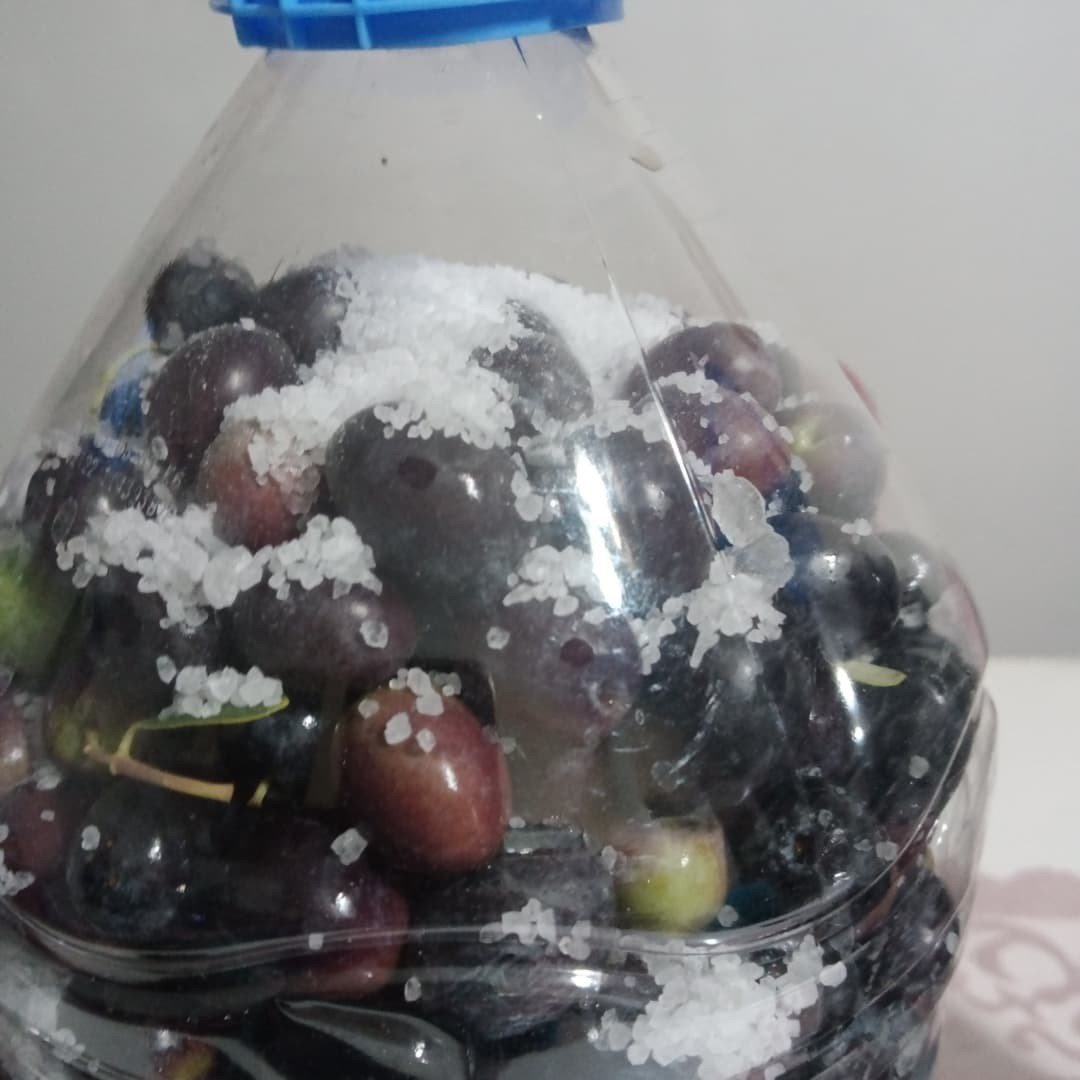 Laçin’de salamura işlemi başladı