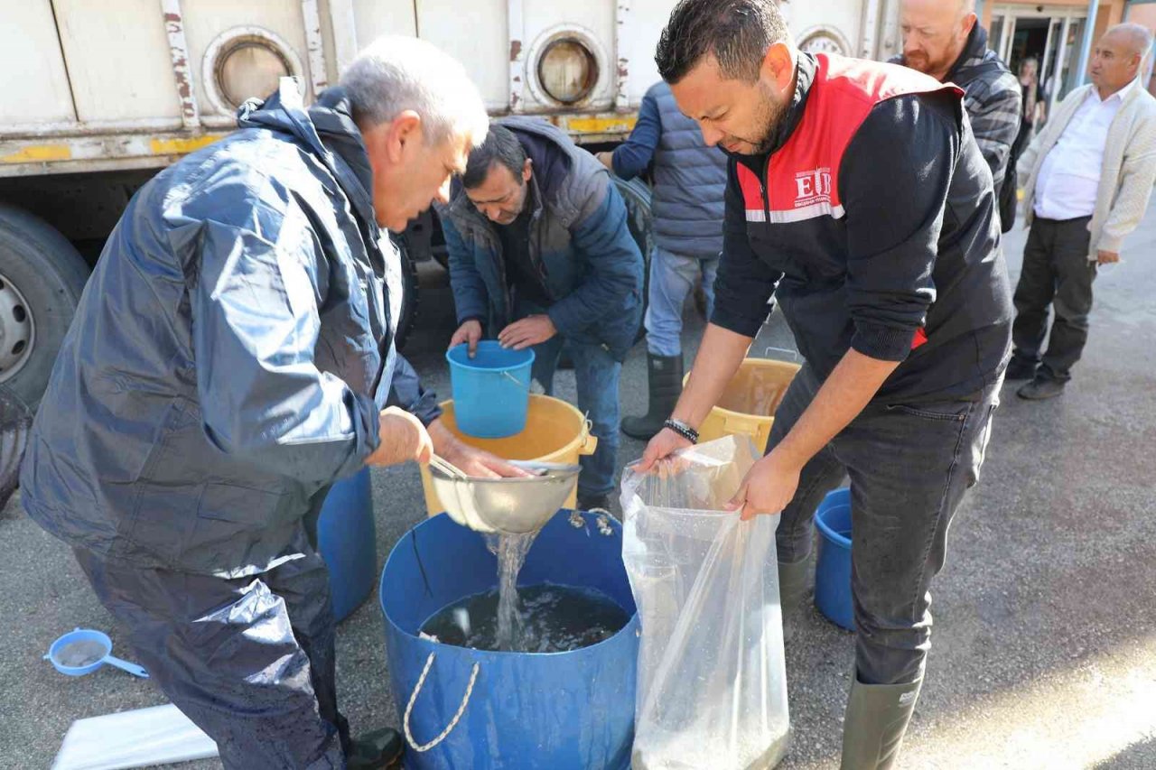 Eskişehir’de 903 bin adet yavru sazan balığı salımı yapıldı