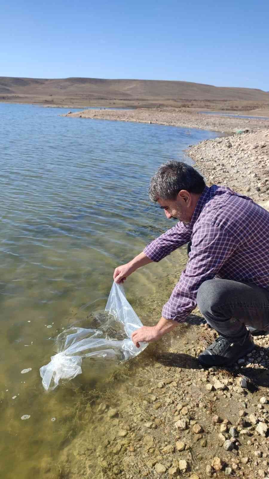 Eskişehir’de 903 bin adet yavru sazan balığı salımı yapıldı