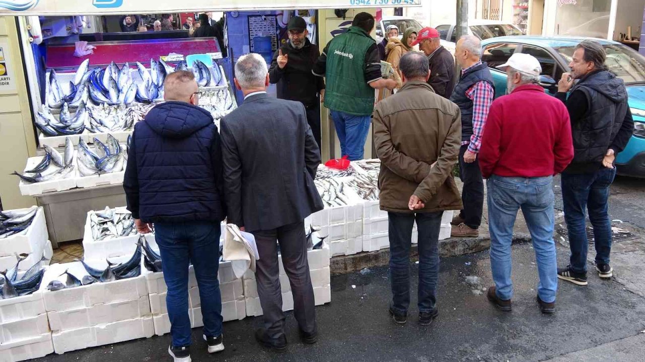 Karadeniz’de palamut bolluğu: Balıkçılarda kuyruk