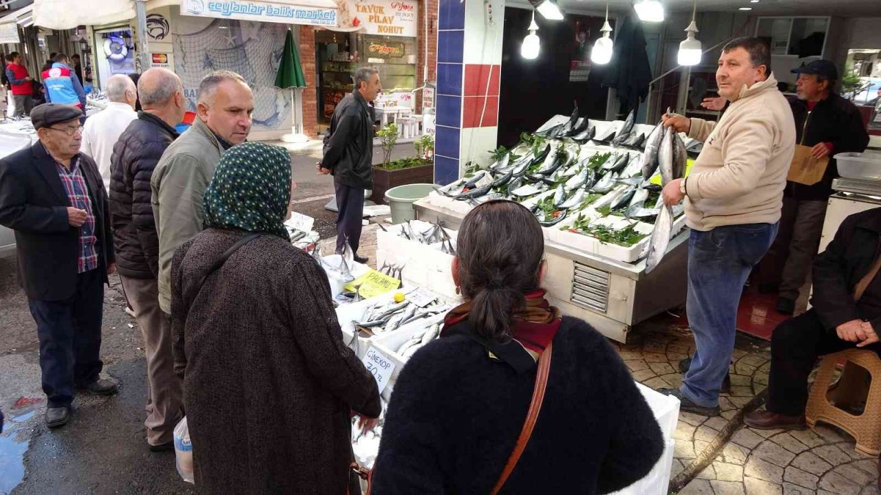 Karadeniz’de palamut bolluğu: Balıkçılarda kuyruk