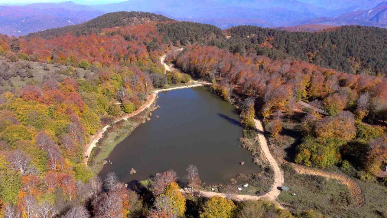 Hazan renklerinin hakim olduğu Yenice ormanları görüntüsüyle mest ediyor