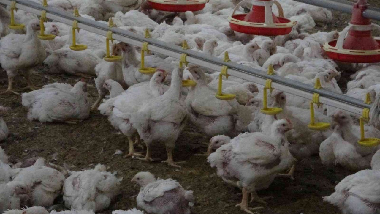 Temizlikçilikten patronluğa uzanan başarı hikayesi