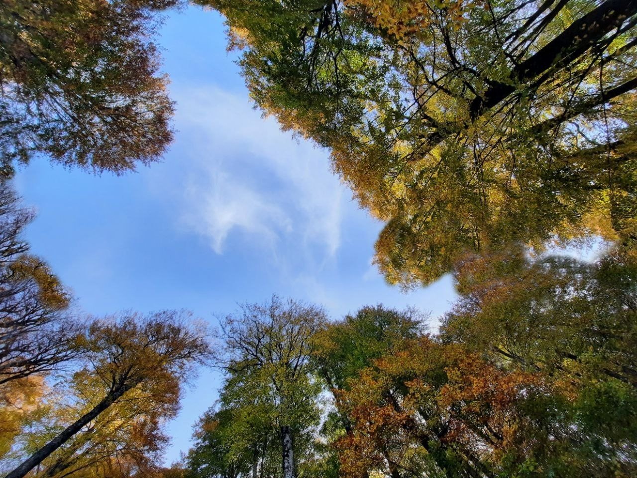 Kırsal kesimlerdeki sonbahar manzaraları hayran bırakıyor