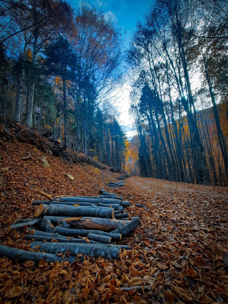 Kırsal kesimlerdeki sonbahar manzaraları hayran bırakıyor