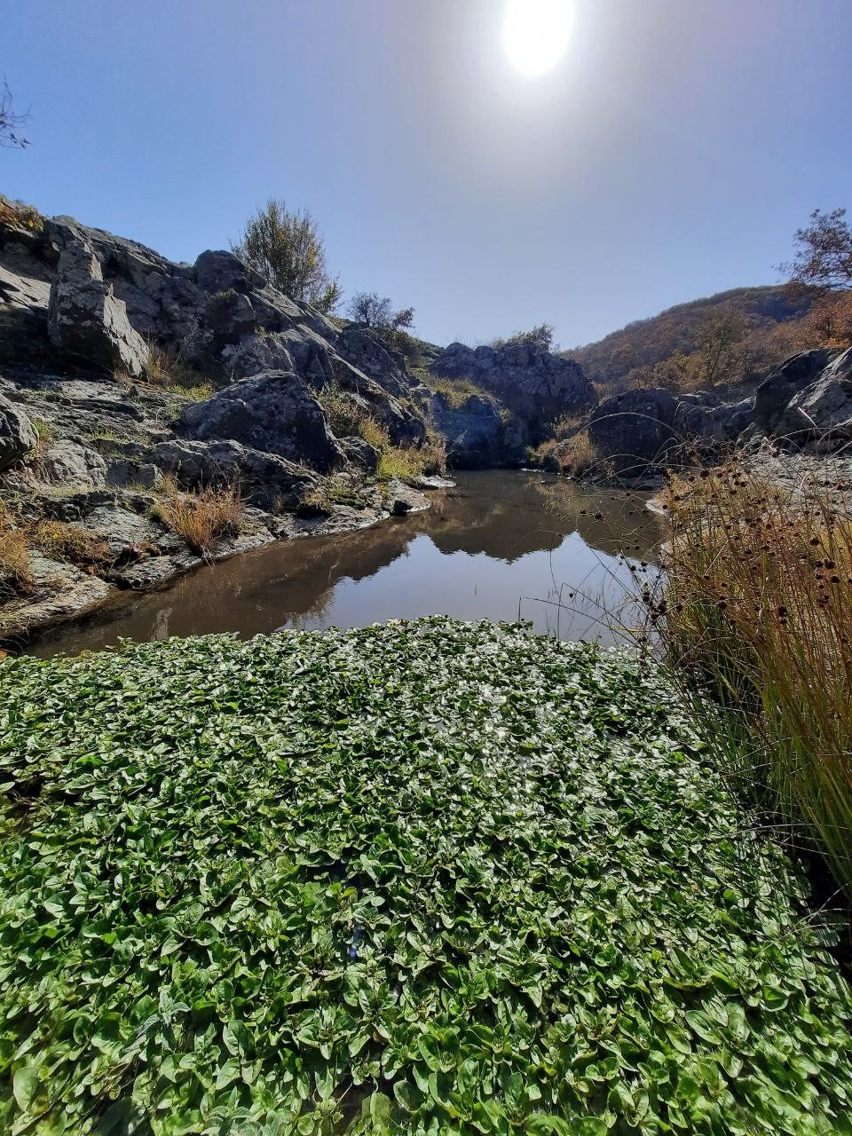 Kırsal kesimlerdeki sonbahar manzaraları hayran bırakıyor