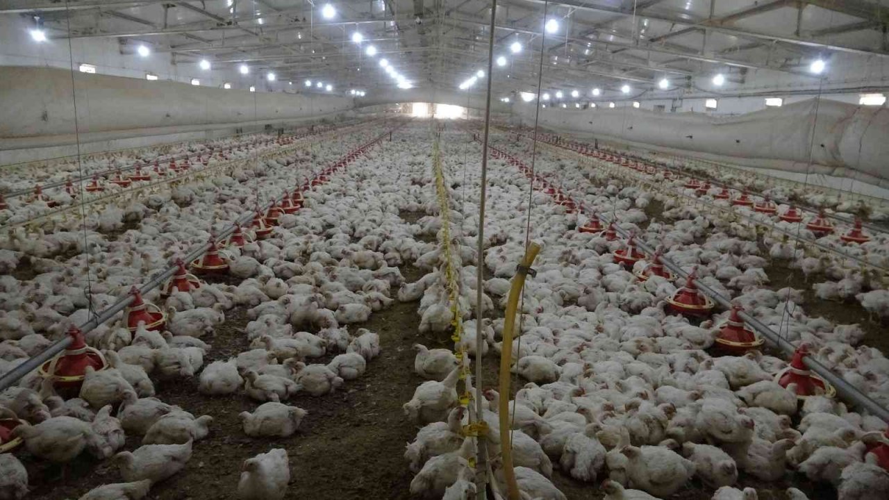 Temizlikçilikten patronluğa uzanan başarı hikayesi