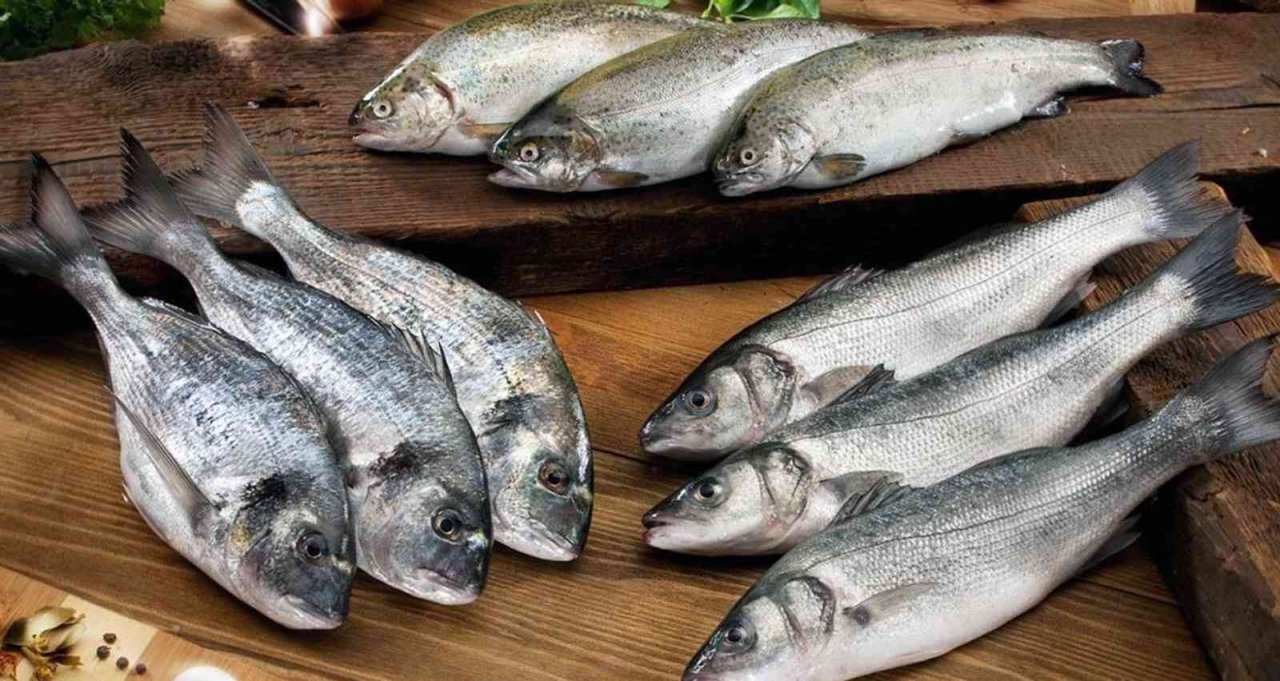 Su ürünleri ihracatında rekor yılı