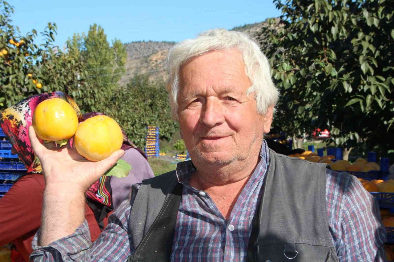 Bilecik ülkemizin ’Cennet Hurması’ ihtiyacının yüzde 35’ini karşılıyor