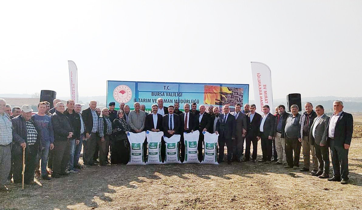 Bursalı çiftçilere ücretsiz buğday tohumu dağıtıldı