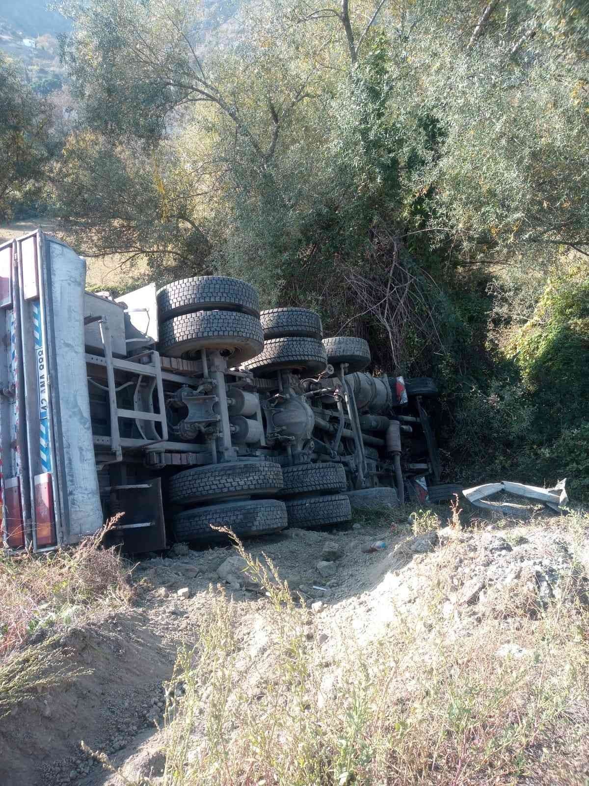 Direksiyonu kitlenen sebze yüklü kamyon şarampole uçtu