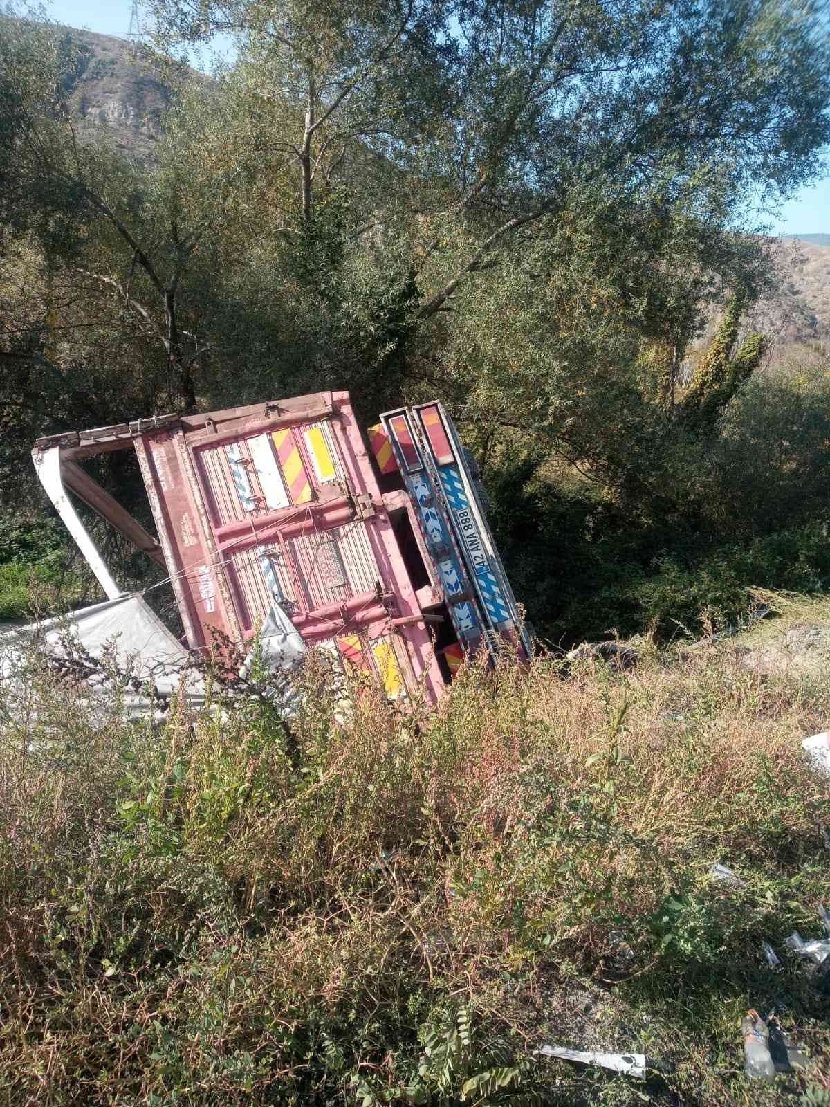 Direksiyonu kitlenen sebze yüklü kamyon şarampole uçtu