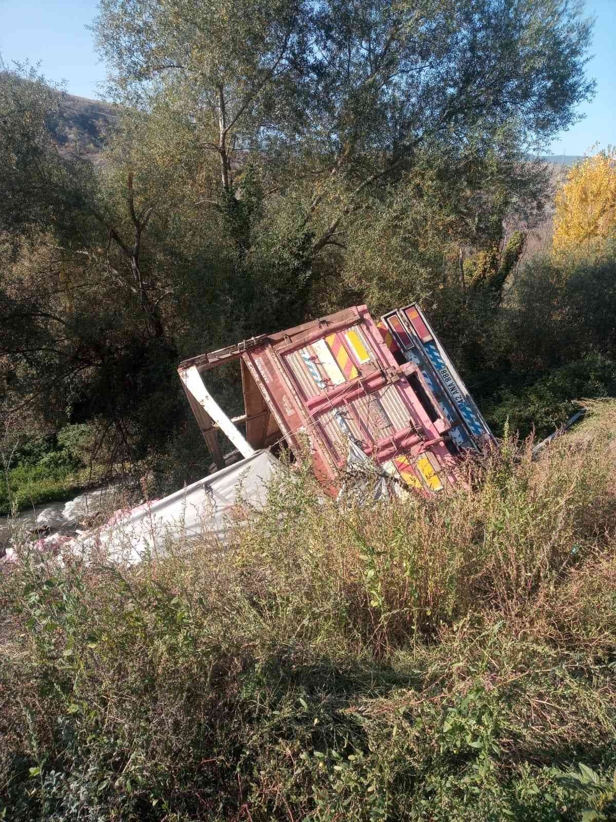 Direksiyonu kitlenen sebze yüklü kamyon şarampole uçtu