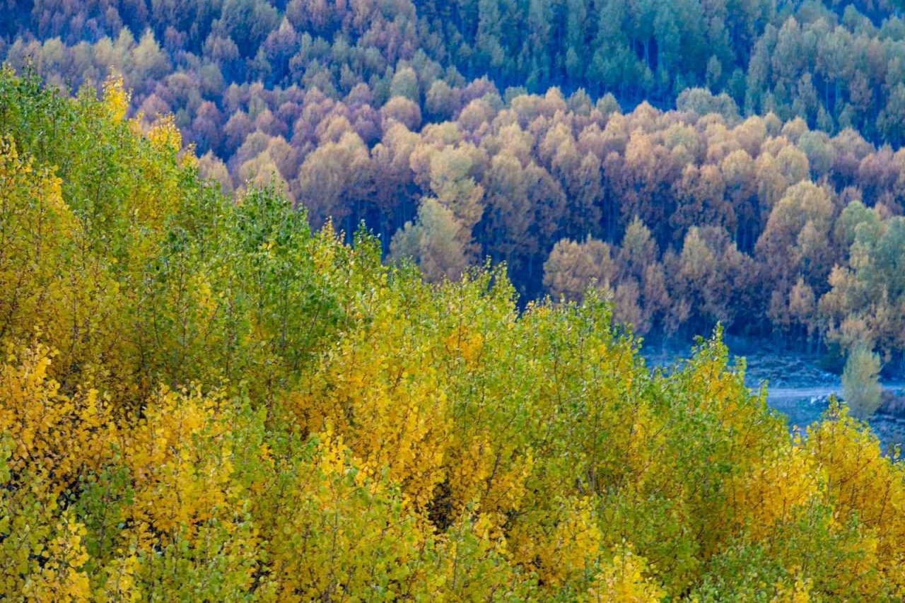 Ortaseki’de sonbahar güzelliği