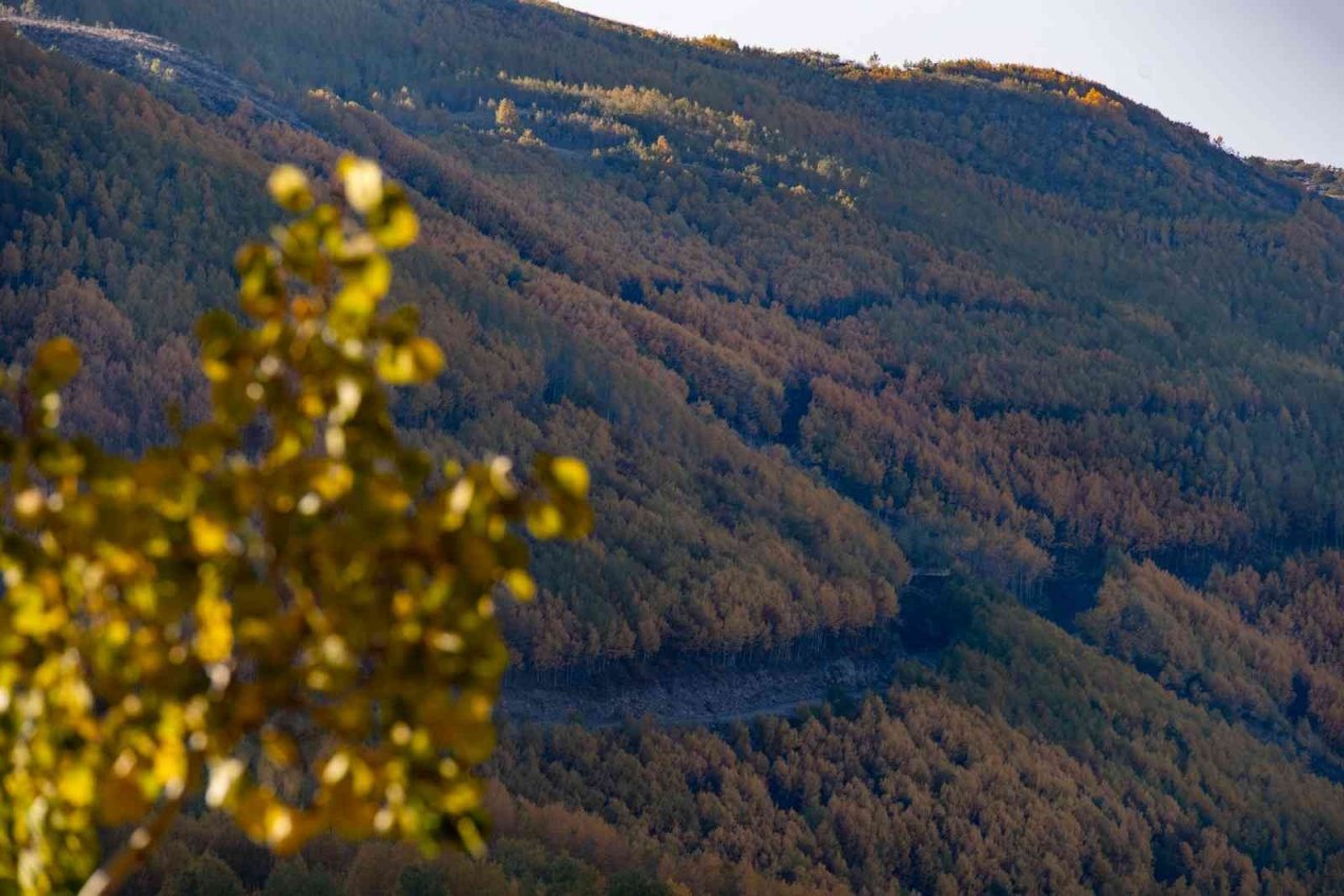 Ortaseki’de sonbahar güzelliği