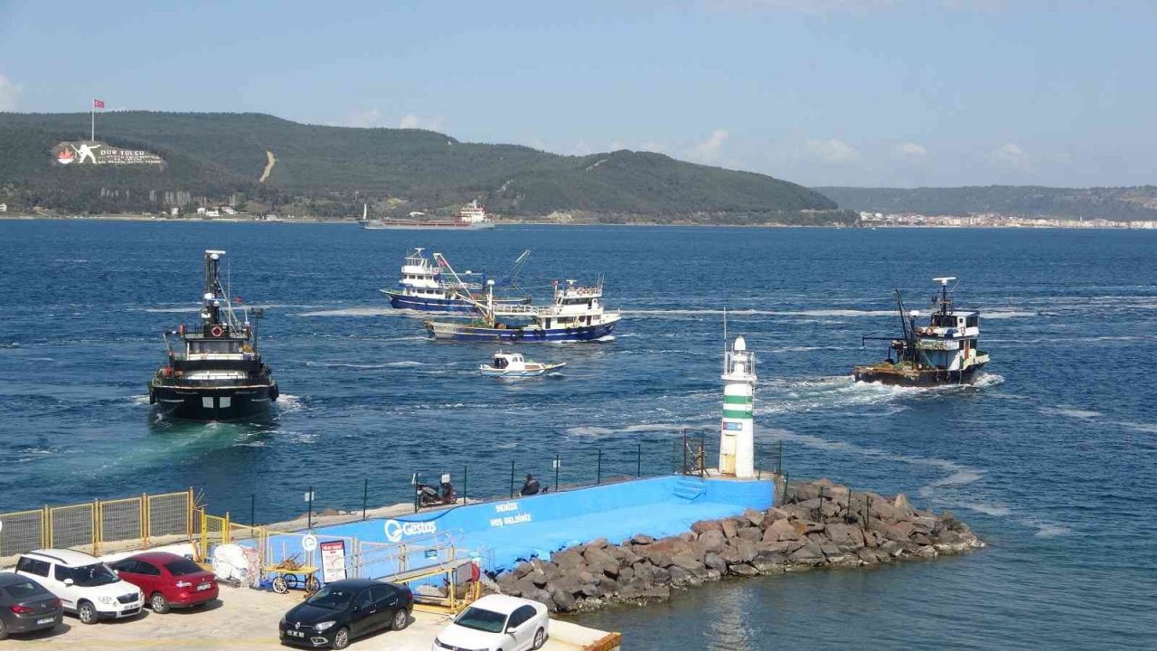 Uzmanlarından flaş balık uyarısı