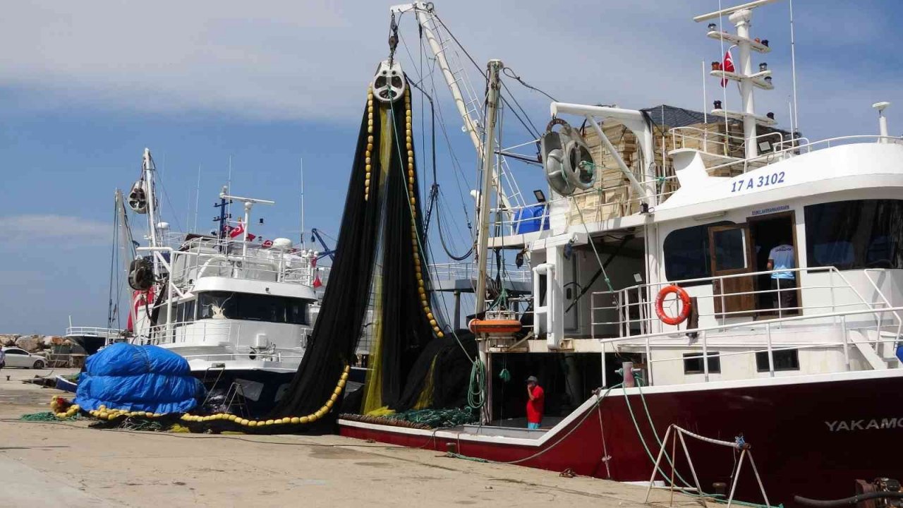 Uzmanlarından flaş balık uyarısı