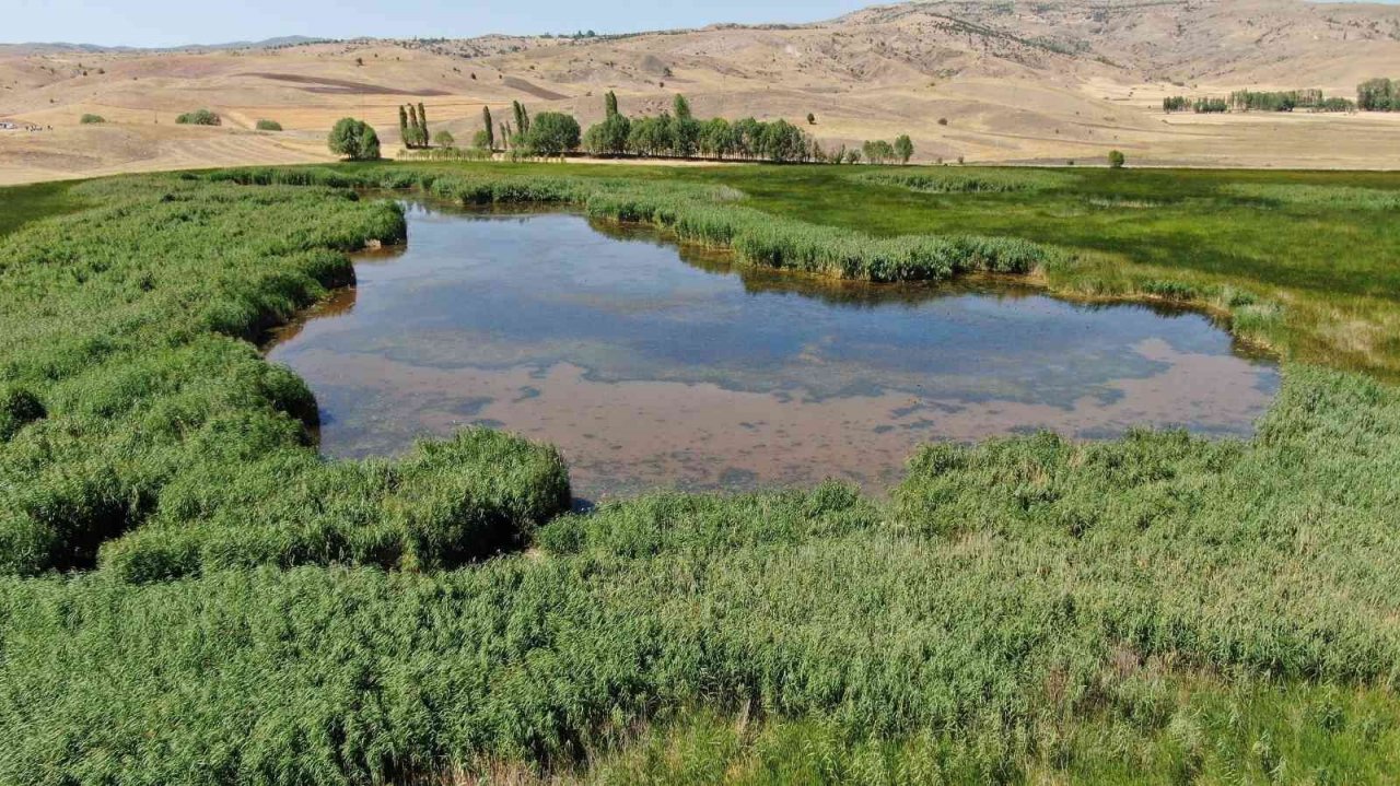 Mahkeme kararını verdi, Kaz Gölü kurtuldu