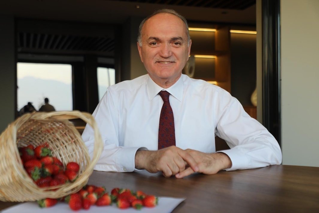 Tesiste yetişen çilekler hasat edildi